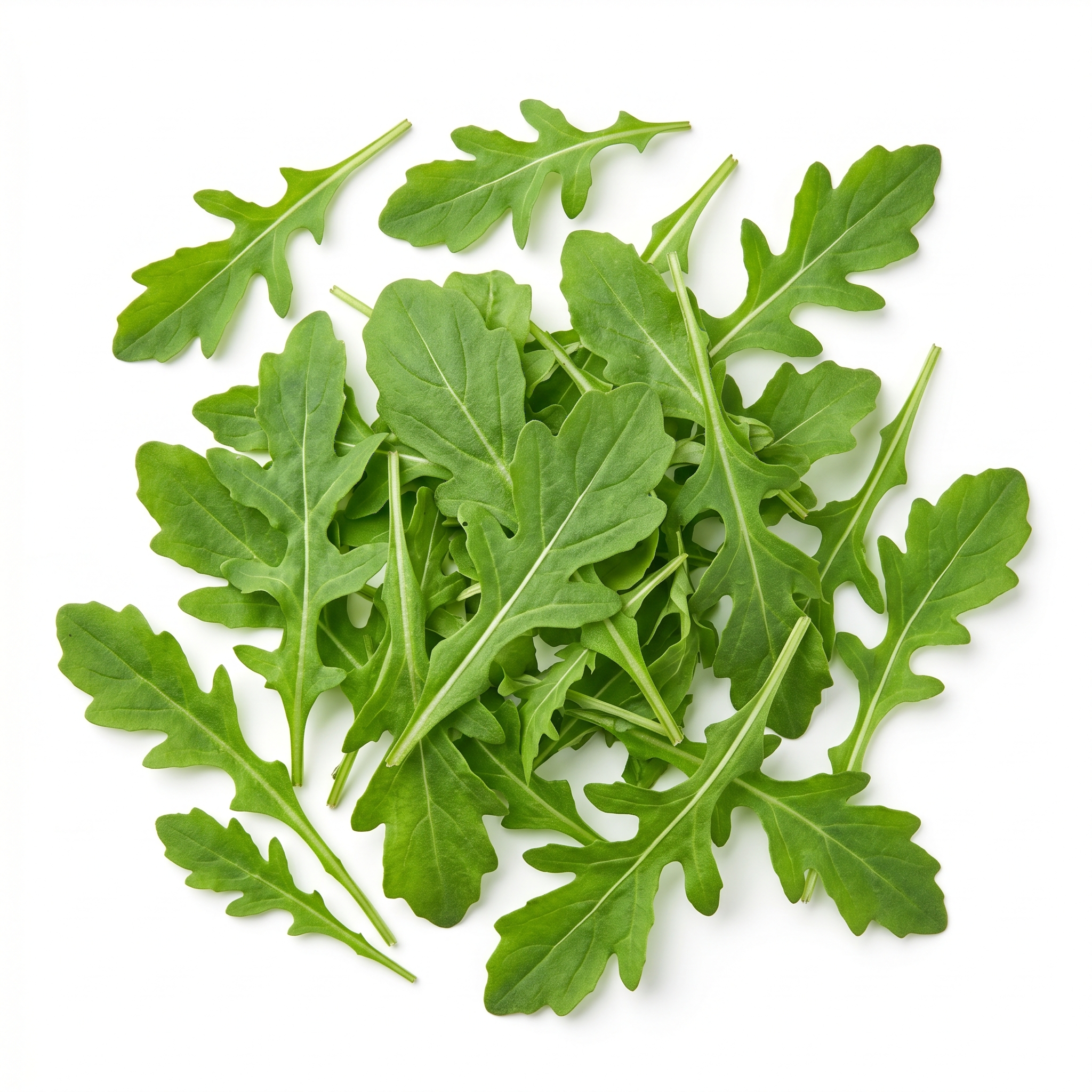 Roquette